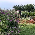 Terra Vitale فندق مبيت وإفطار Cava deʼ Tirreni