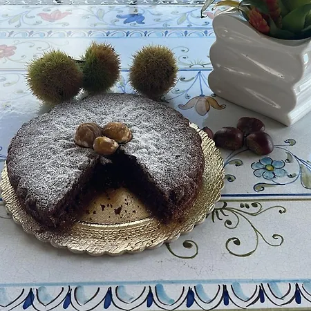 Terra Vitale Couette-café
