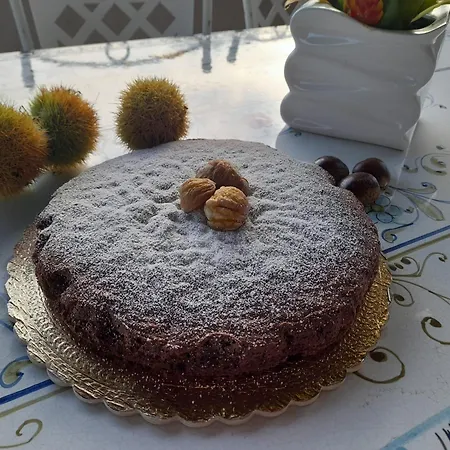 Terra Vitale 4*