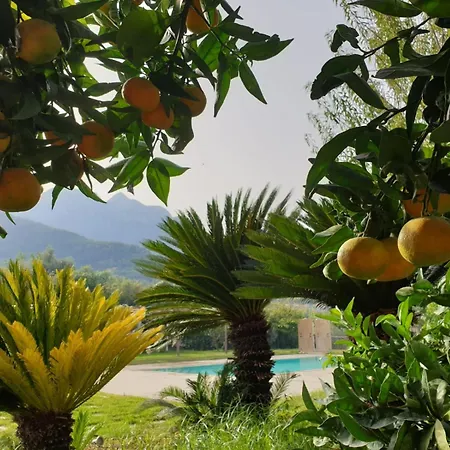 Terra Vitale 4* Cava deʼ Tirreni