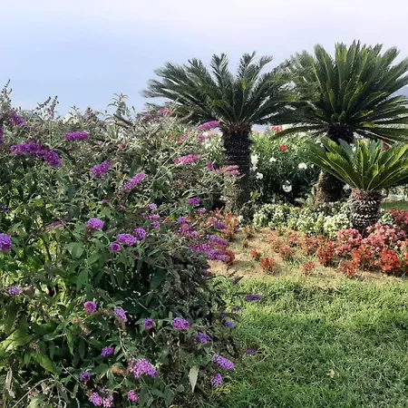 Terra Vitale Couette-café Cava deʼ Tirreni