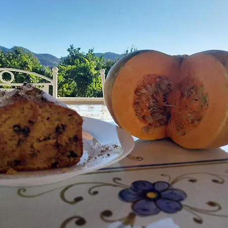 Terra Vitale Bed & Breakfast Cava De' Tirreni